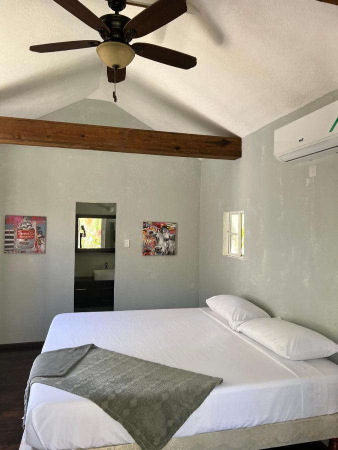 Jamaica Colors Hotel And Eco-Retreat ポート・アントニオ エクステリア 写真