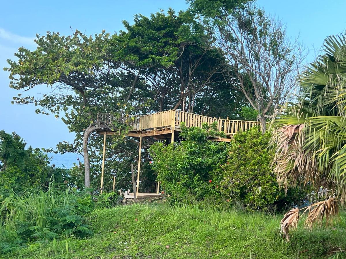 Jamaica Colors Hotel And Eco-Retreat ポート・アントニオ エクステリア 写真