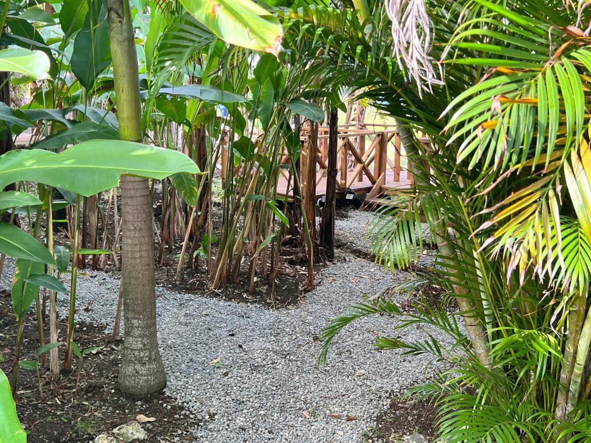 Jamaica Colors Hotel And Eco-Retreat ポート・アントニオ エクステリア 写真