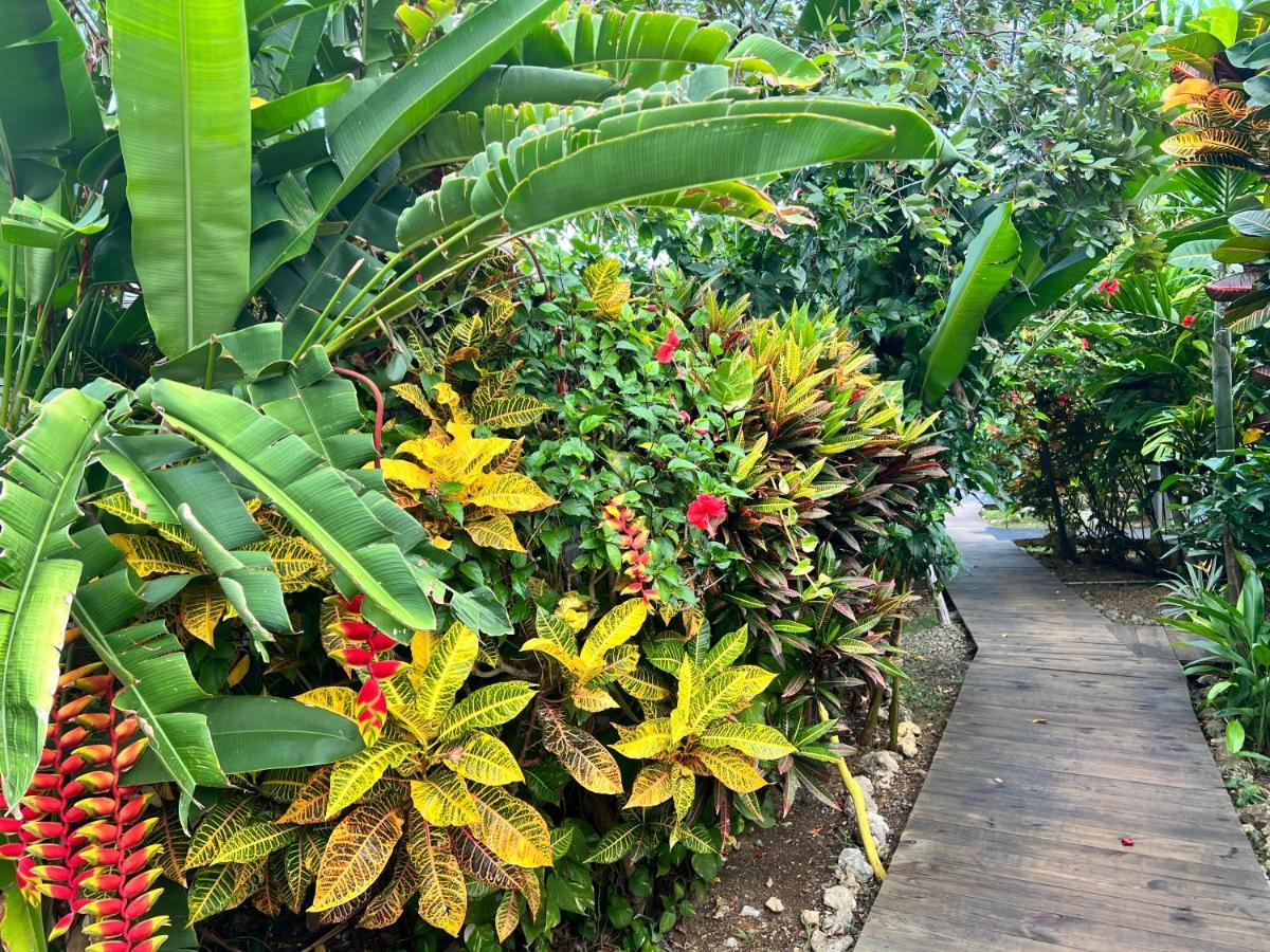 Jamaica Colors Hotel And Eco-Retreat ポート・アントニオ エクステリア 写真