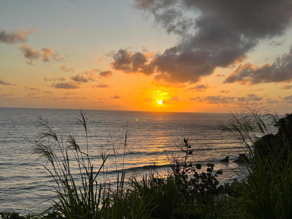 Jamaica Colors Hotel And Eco-Retreat ポート・アントニオ エクステリア 写真