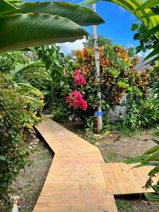 Jamaica Colors Hotel And Eco-Retreat ポート・アントニオ エクステリア 写真
