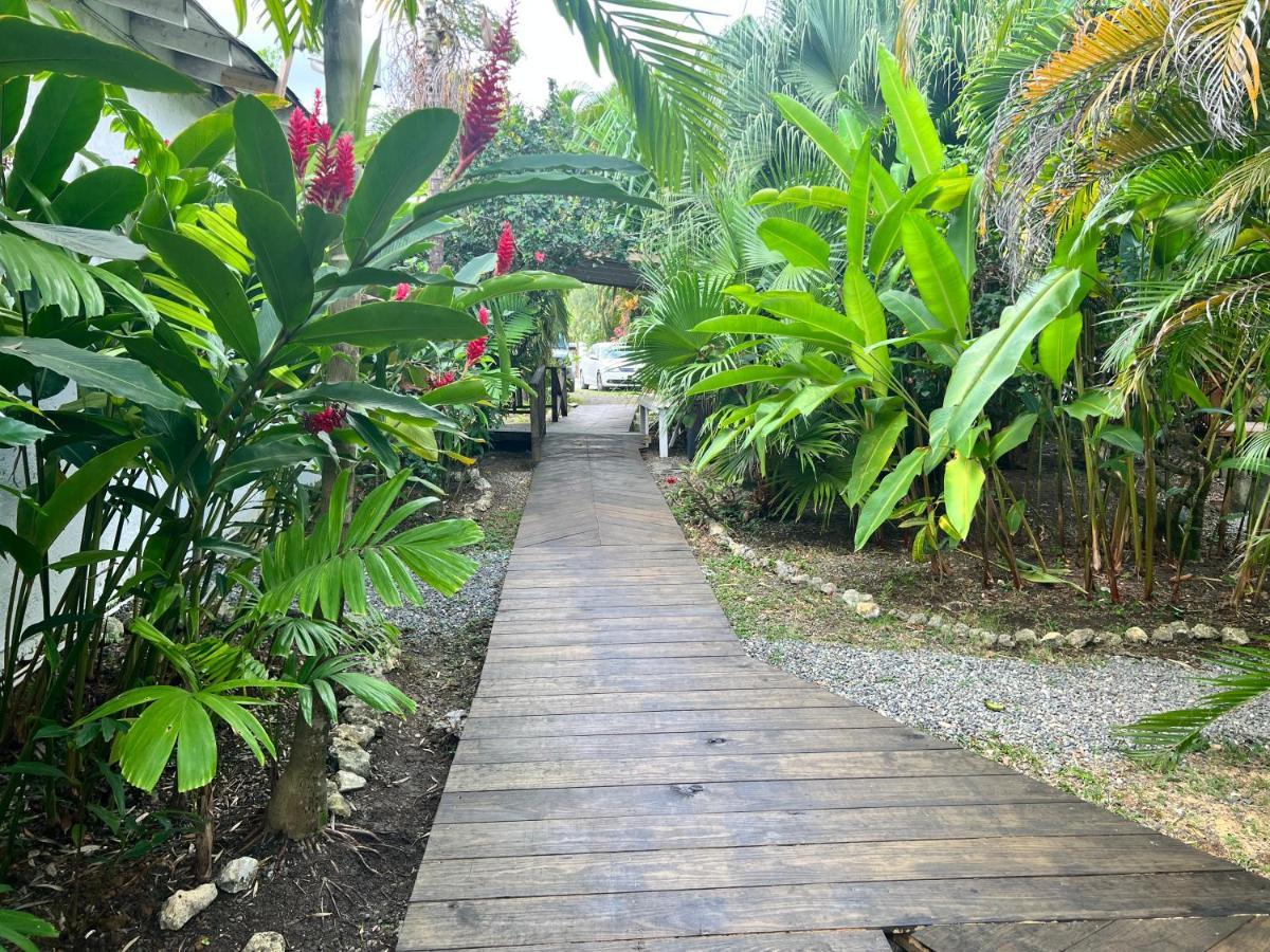 Jamaica Colors Hotel And Eco-Retreat ポート・アントニオ エクステリア 写真