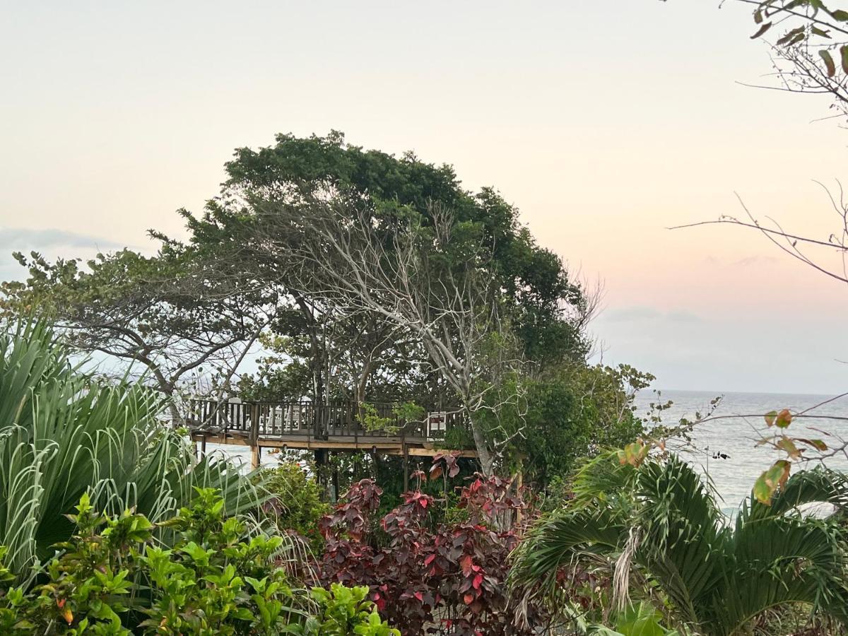 Jamaica Colors Hotel And Eco-Retreat ポート・アントニオ エクステリア 写真