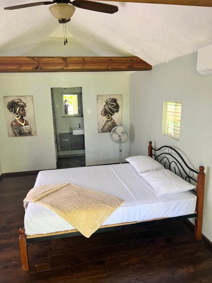 Jamaica Colors Hotel And Eco-Retreat ポート・アントニオ エクステリア 写真