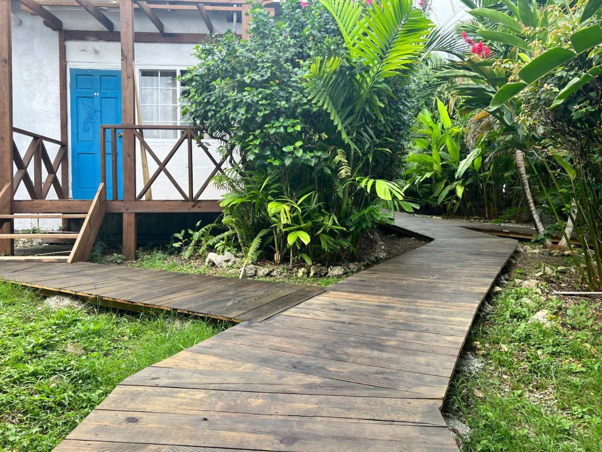Jamaica Colors Hotel And Eco-Retreat ポート・アントニオ エクステリア 写真