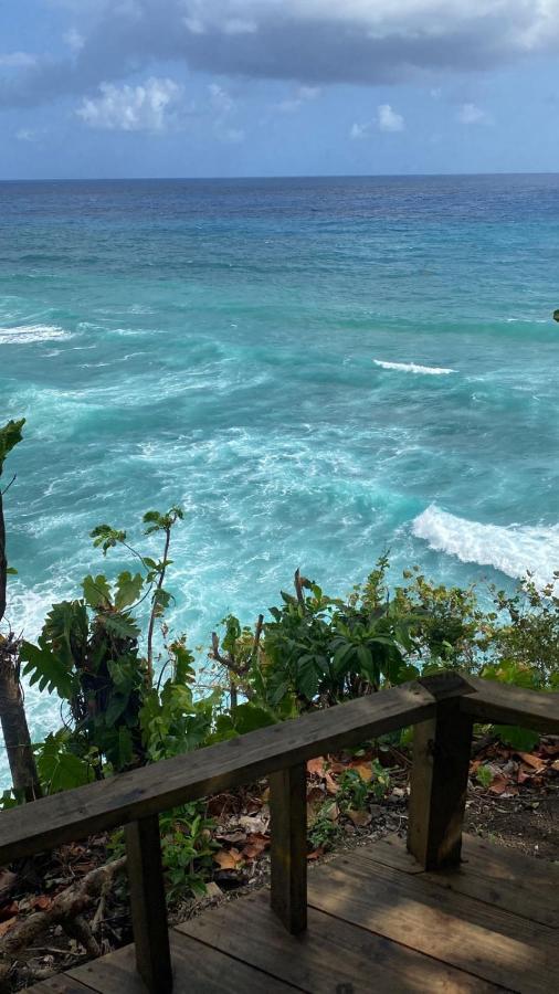 Jamaica Colors Hotel And Eco-Retreat ポート・アントニオ エクステリア 写真