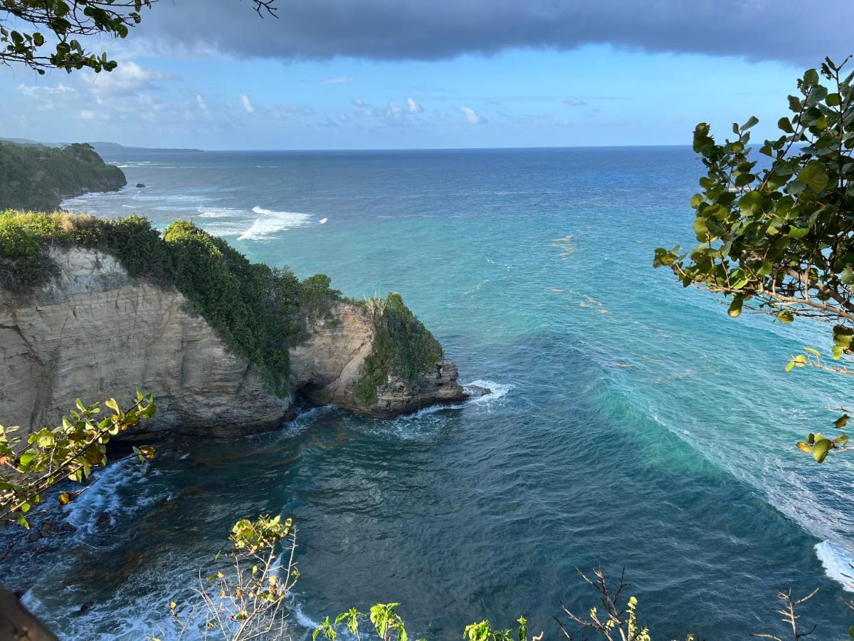 Jamaica Colors Hotel And Eco-Retreat ポート・アントニオ エクステリア 写真
