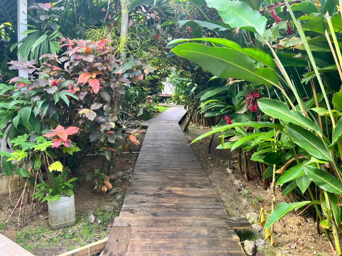 Jamaica Colors Hotel And Eco-Retreat ポート・アントニオ エクステリア 写真
