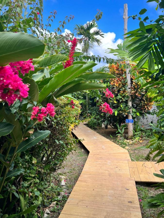 Jamaica Colors Hotel And Eco-Retreat ポート・アントニオ エクステリア 写真