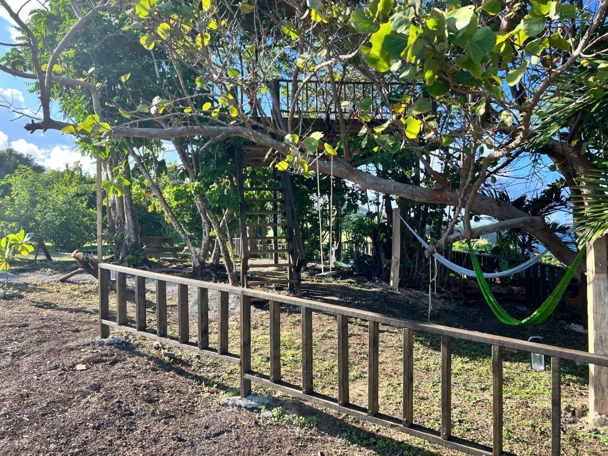 Jamaica Colors Hotel And Eco-Retreat ポート・アントニオ エクステリア 写真